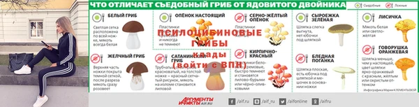 прущие крисы Белокуриха