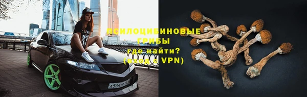 гидра Белоозёрский