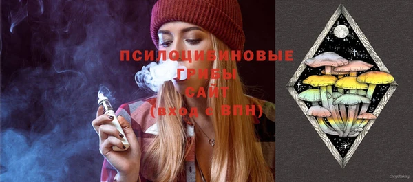 прущие крисы Белокуриха