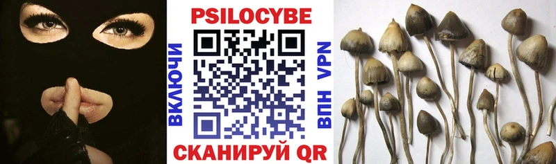 Галлюциногенные грибы Psilocybine cubensis  купить  цена  kraken зеркало  Комсомольск 
